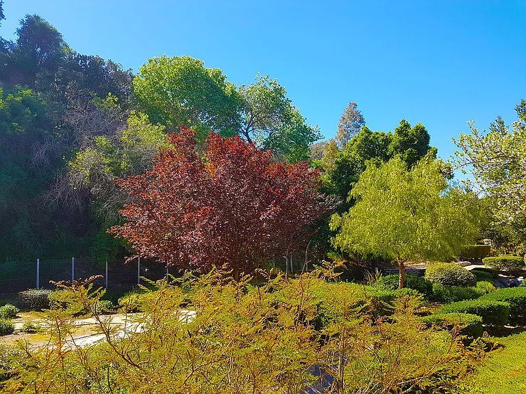 31625 Loma Linda Rd — Photo 12