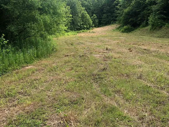 Lime Branch Tract #7, Greenup, KY 41144