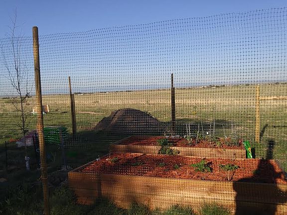 Raised Bed Garden area