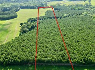 8 Us Highway 231 S, Brundidge, AL 36010