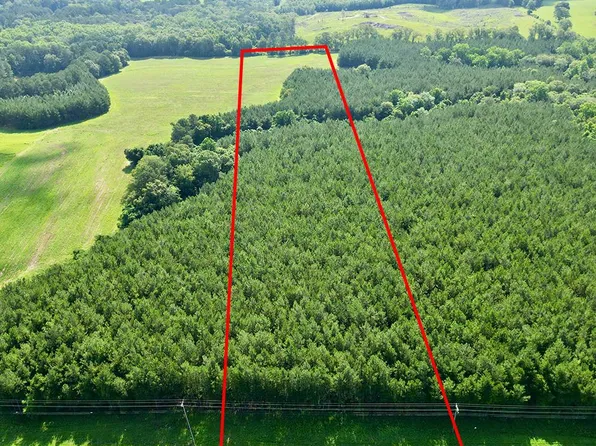 8 Us Highway 231 S, Brundidge, AL 36010