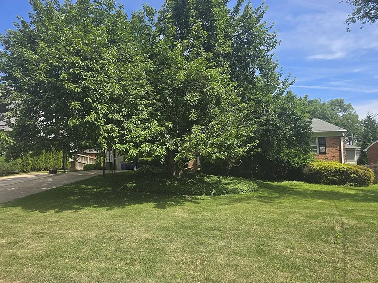 6403 Orchid Dr — Photo 2