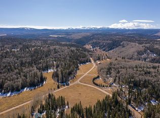 2121 Spruce Rd, Cimarron, CO 81220