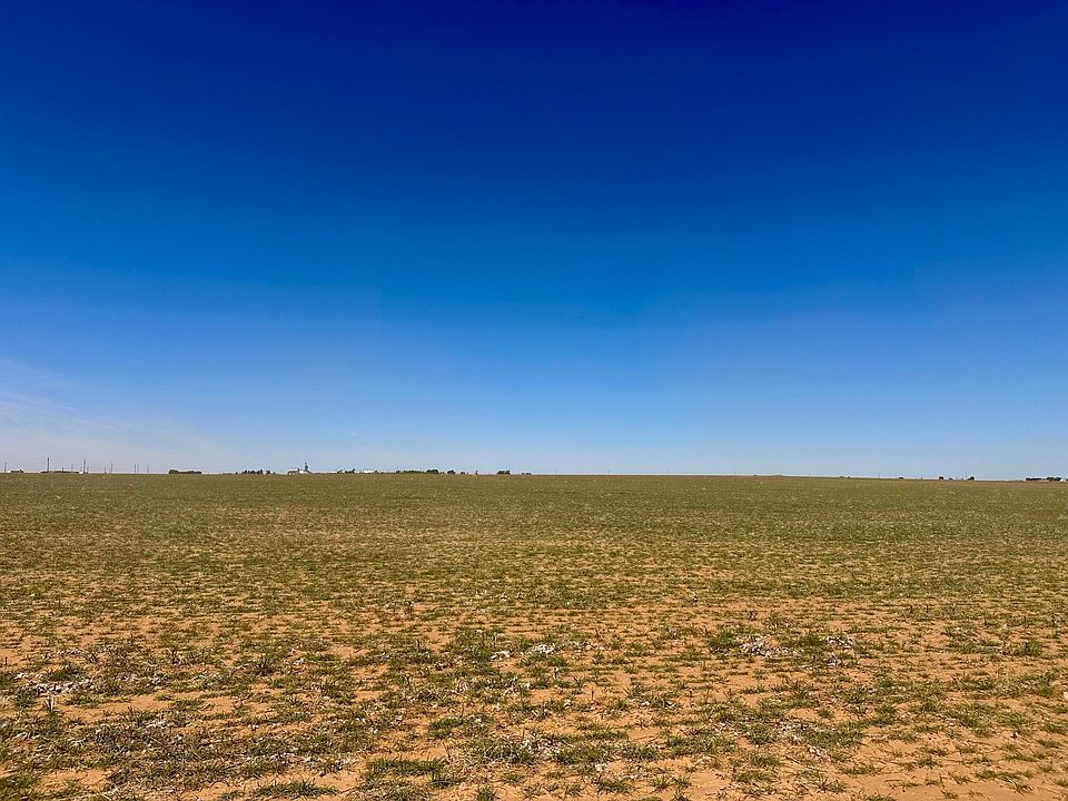 1st image of Rabbit