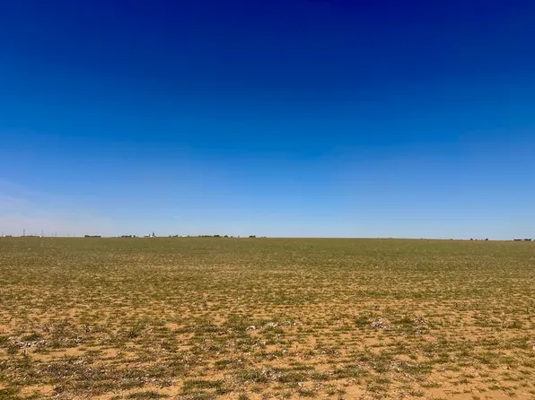 Rabbit, Ropesville, TX 79358