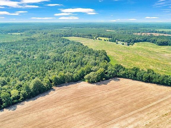 9th image of 356 Massey-Doss Road