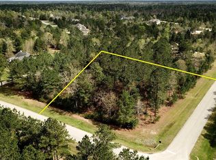 26252 Laurens Ct, Montgomery, TX 77316