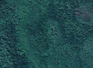 No Name LOT 225, Oak Hill, FL 32759