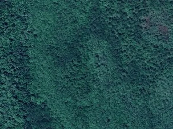 No Name Lot 225, Oak Hill, FL 32759