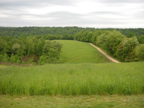 2nd image of 1925 Winding Hill Road