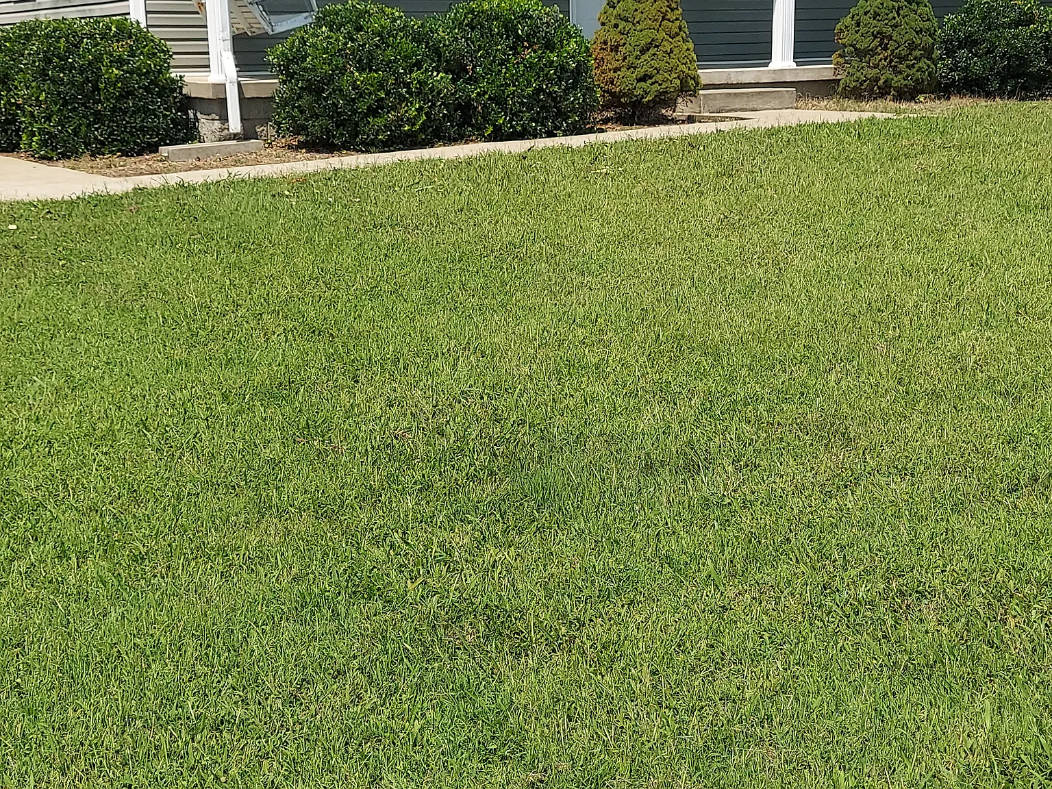 3 bed, 1478 sqft, $1,900 — Photo 1