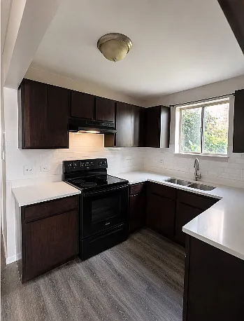 1 bed, 800 sqft, $1,600 — Photo 2
