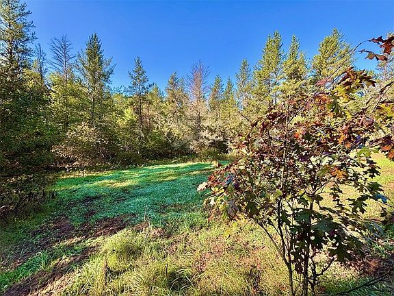 5th image of XX151 River Road