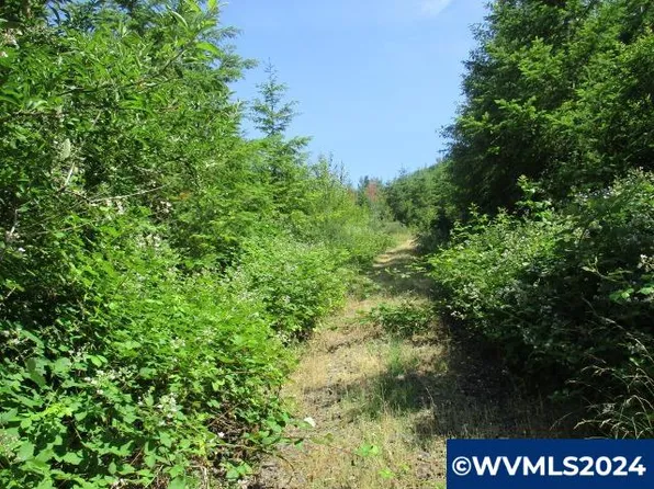 0 Thomas Creek Dr, Scio, OR 97374