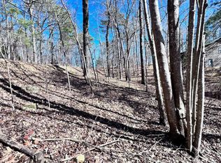 LOT 764 Riparian Way, Ellijay, GA 30540