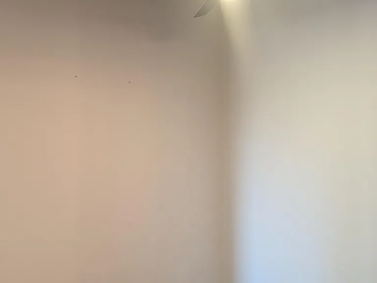 Bedroom with 12 foot ceilings!