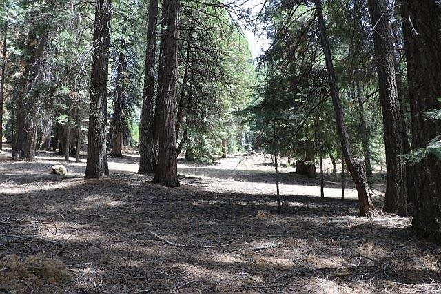 2nd image of 636 Cedar Canyon Rd