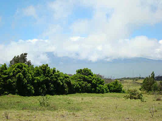 5th image of 66-1541 W Ko Uka Pl Lot 30