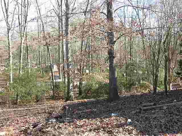2nd image of 407 Dean Springs Rd