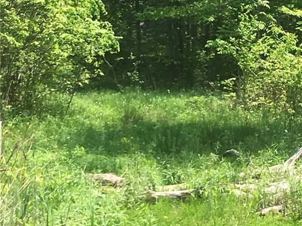 0 Fowlers Mill Rd, Chardon, OH 44024