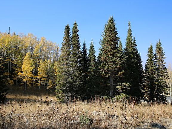 4th image of 327 White Pine Canyon Rd Lot 327
