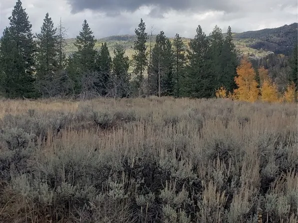 20940 Stirrup Way, Oak Creek, CO 80467