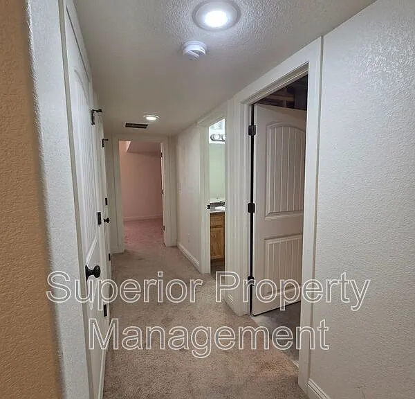 3921 Gunsmoke Rd — Photo 18