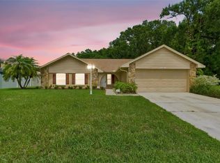 15109 Springview St, Tampa, FL 33624