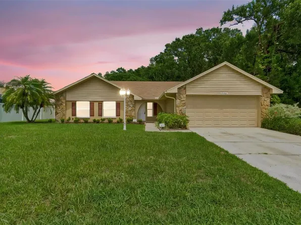 15109 Springview St, Tampa, FL 33624