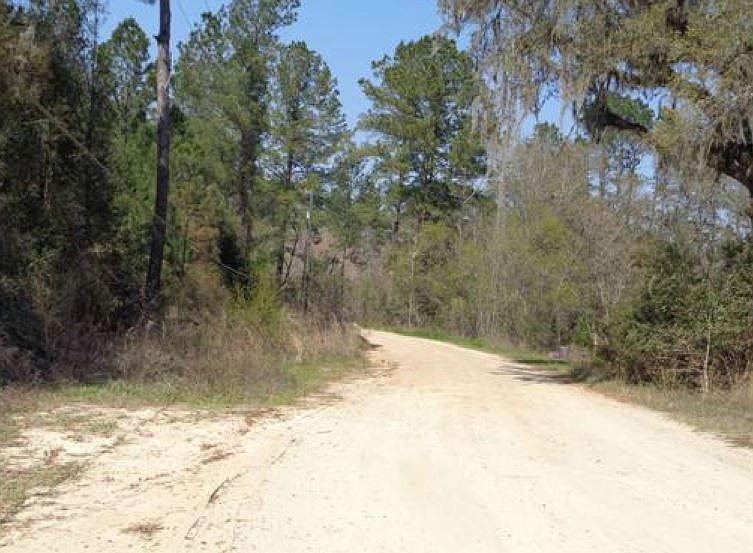 2nd image of 4517 Pond Cir