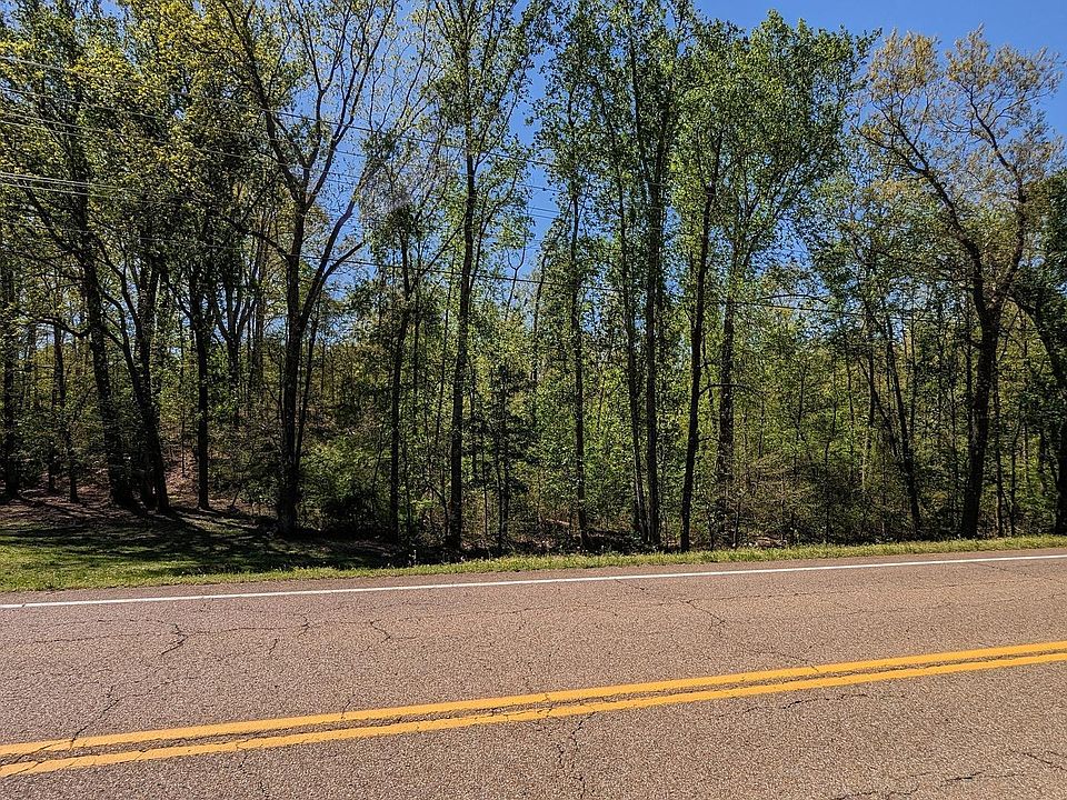 0 State Route 100 E, Jacks Creek, TN 38347 MLS 231509 Zillow