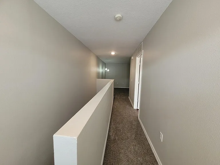 3805 Exeter Ln — Photo 31