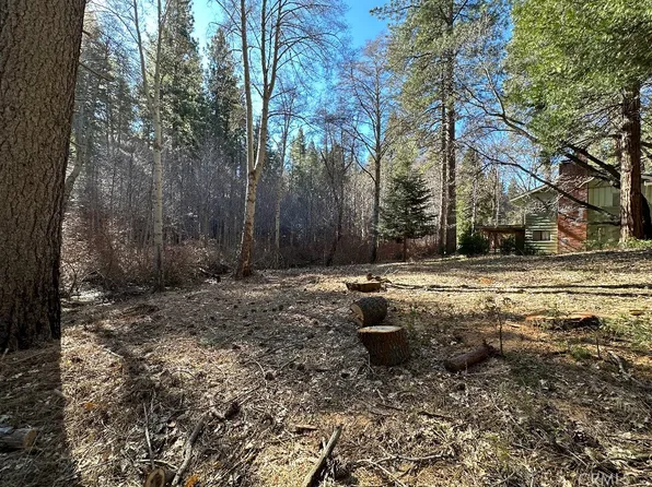 29571 Little Bear Creek Rd #115, Cedar Glen, CA 92321