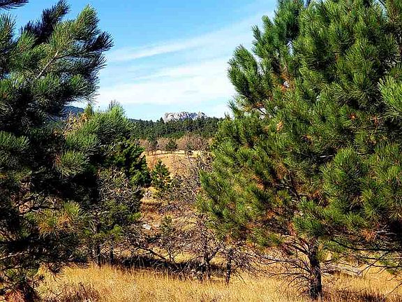 4th image of 24627 Iron Mountain Rd