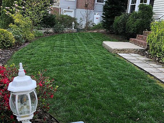 Front yard facing east