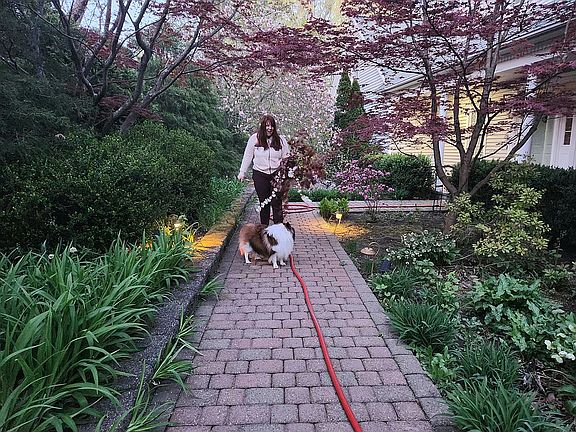 Front walk