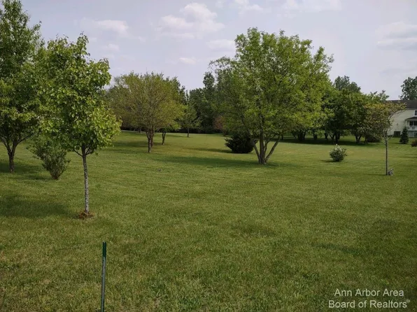 0 N Burgett Ln, Grass Lake, MI 49240