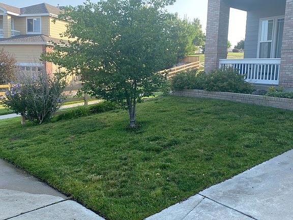 Front yard, looking North.
