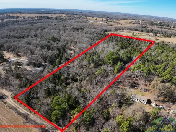 Pvt Rd #8700, Ben Wheeler, TX 75754