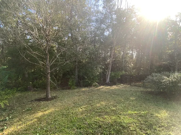 Back yard