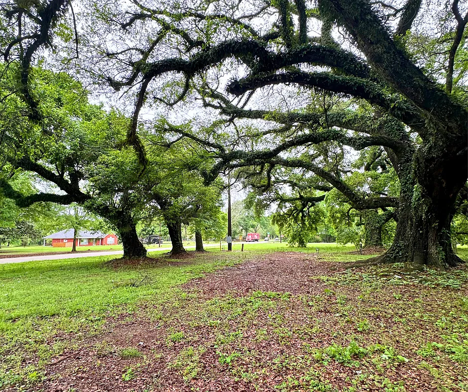Shady Oaks - 11780 Old Pascagoula Rd - Lot 3 — Photo 1