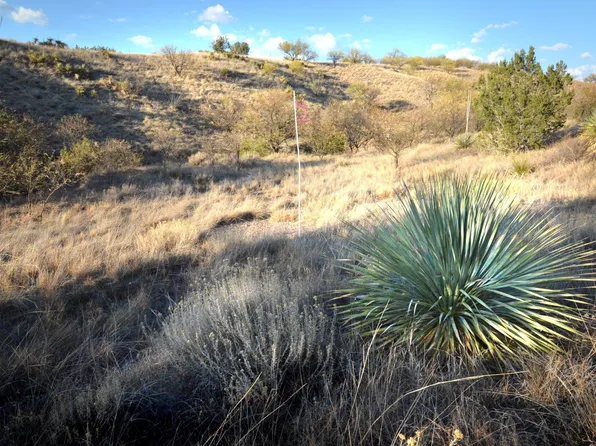 214 Tanglehead Ln Lot 9, Patagonia, AZ 85624