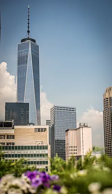 Rented by Greystar | media 65