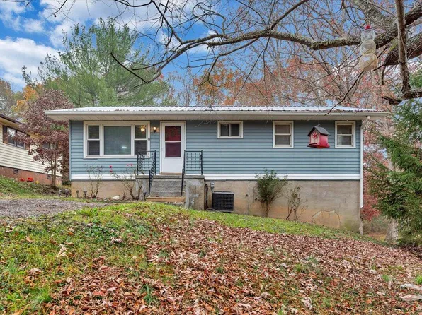 1107 Brookhaven Dr, Covington, VA 24426