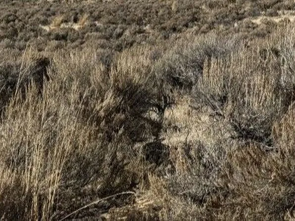 1st St, Spring Creek, NV 89815