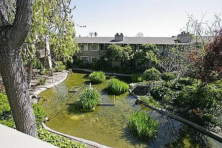 Willow Springs Apartments — Photo 18