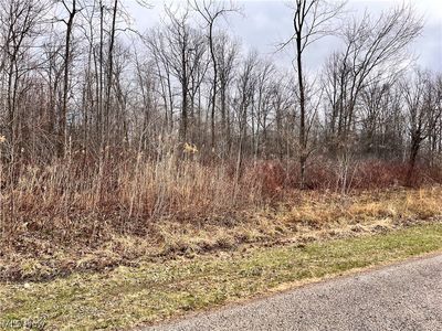 Brianna Ct Lot 11, Ashtabula, OH, 44004