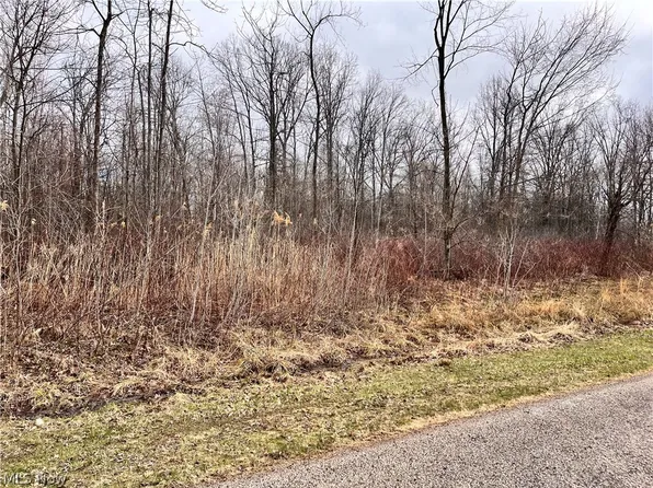 Brianna Ct Lot 11, Ashtabula, OH 44004
