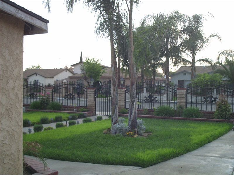 Front Yard
