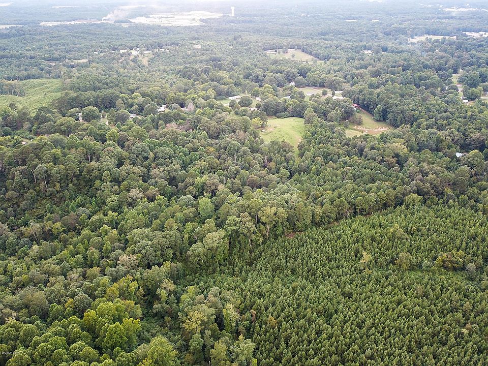 2nd image of Alma Rd